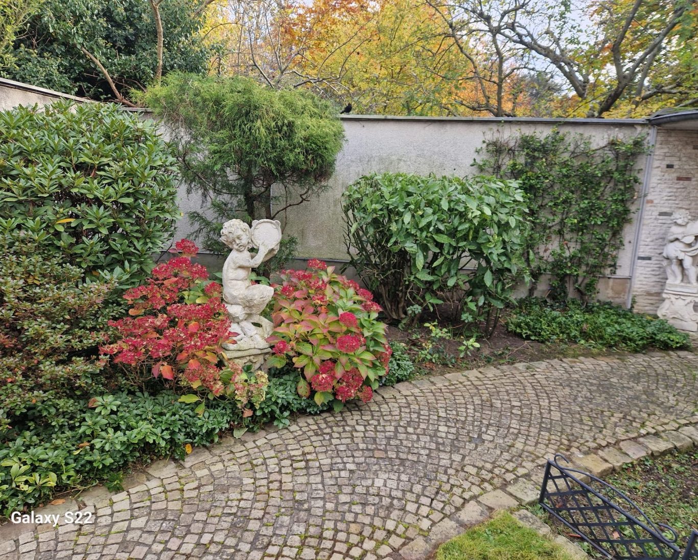 Gartenpflege mit Pflasterweg und Formschnitt in Kaiserswerth. Pflasterarbeiten und Gartenpflege in Kaiserswerth mit gestalteter Fläche