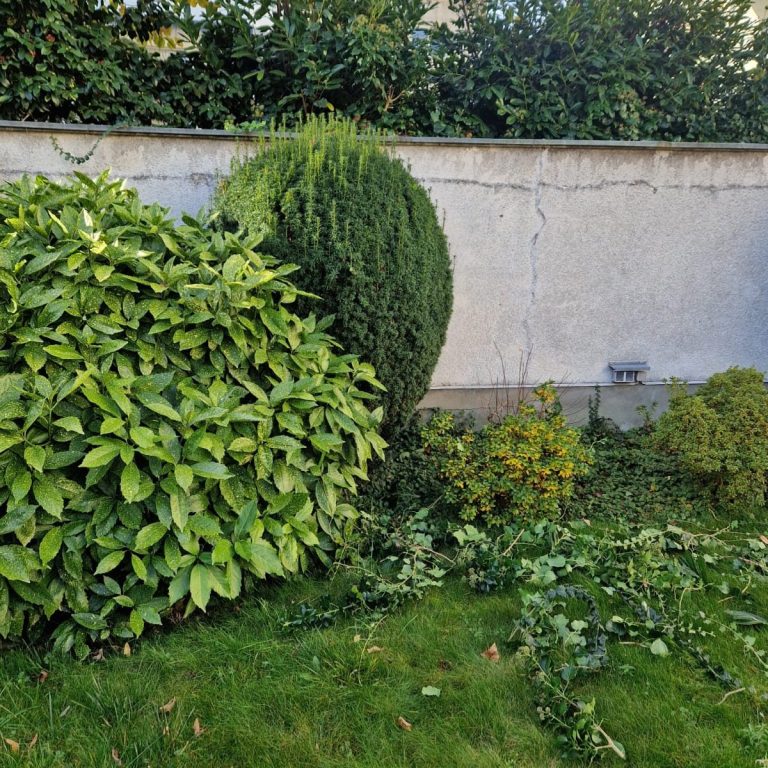 Rollrasen verlegen Hilden – Grünflächenpflege Rollrasen verlegen und Grünflächenpflege in Hilden