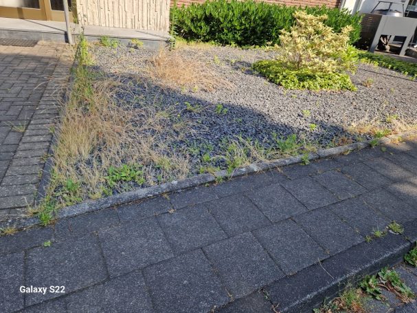 Pflasterarbeiten Kaiserswerth – Kiesfläche vorher Pflasterarbeiten Kaiserswerth – verunkrautete Kiesfläche