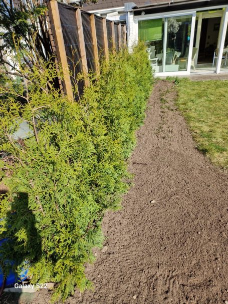 GaLaBau Monheim – Heckenpflanzung mit Bodenarbeiten GaLaBau und Heckenanlage in Monheim – frisch vorbereiteter Boden vor der Hecke