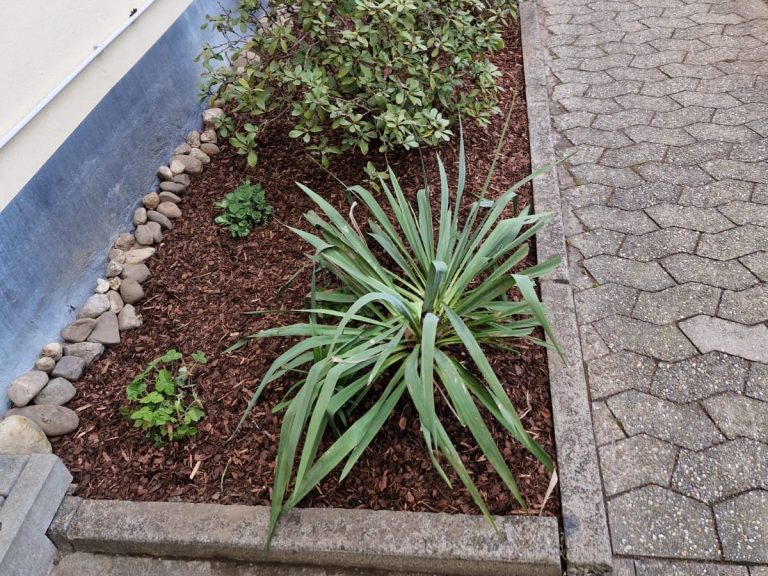 Gartenpflege Hilden – Pflanzbeet mit Mulch Gartenpflege Hilden – neu angelegtes Pflanzbeet mit Mulch und Steineinfassung