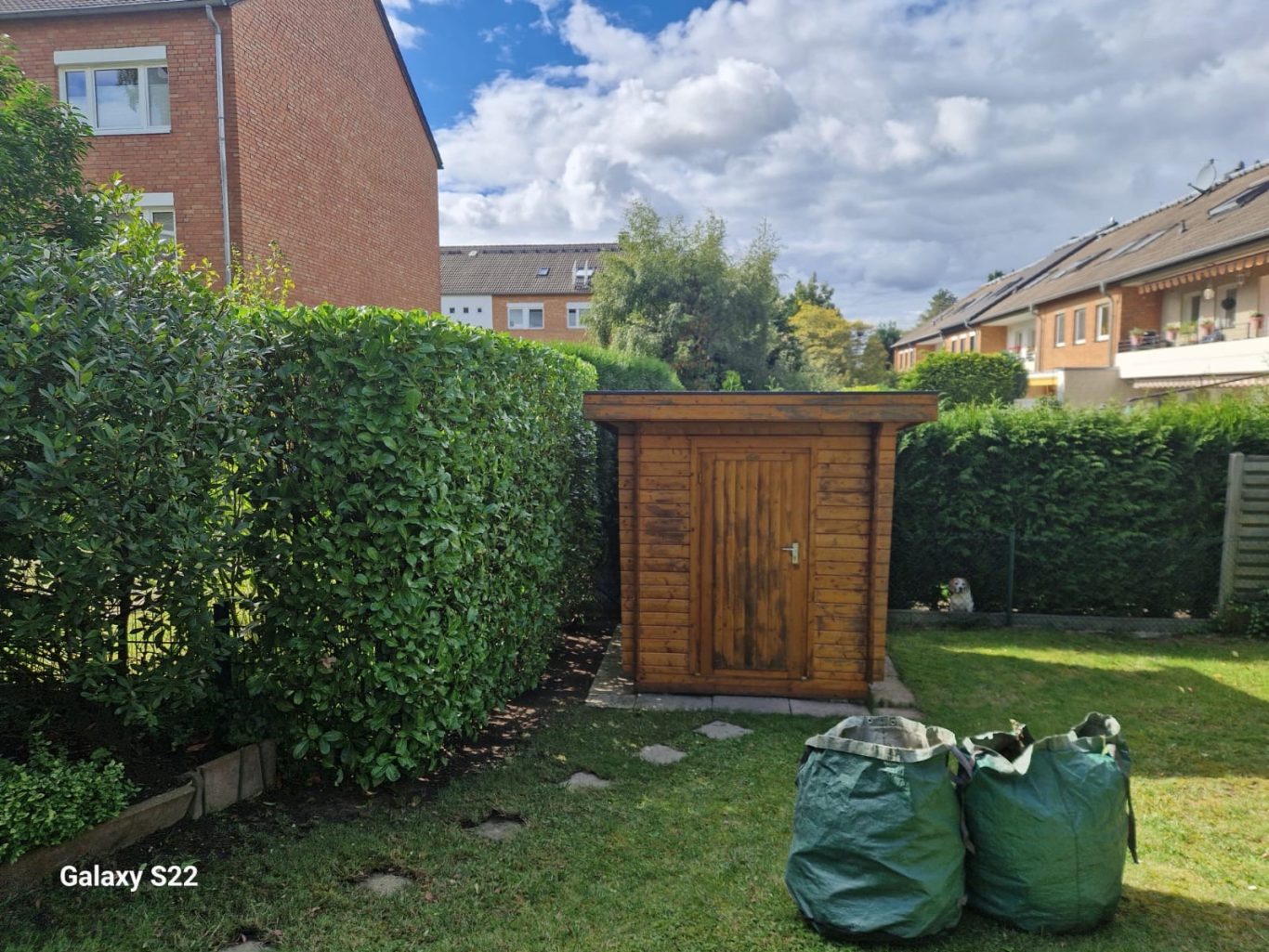 Gartenpflege für Hausverwaltungen Hilden – Heckenpflege und Grünflächenpflege Gepflegte Hecke und Grünfläche nach Gartenpflege für Hausverwaltungen in Hilden mit Holzschuppen und Grüngutsäcken