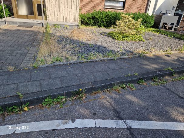 Pflasterarbeiten Hilden – Kiesfläche mit Unkraut Pflasterarbeiten Hilden – Kiesfläche vor der Sanierung