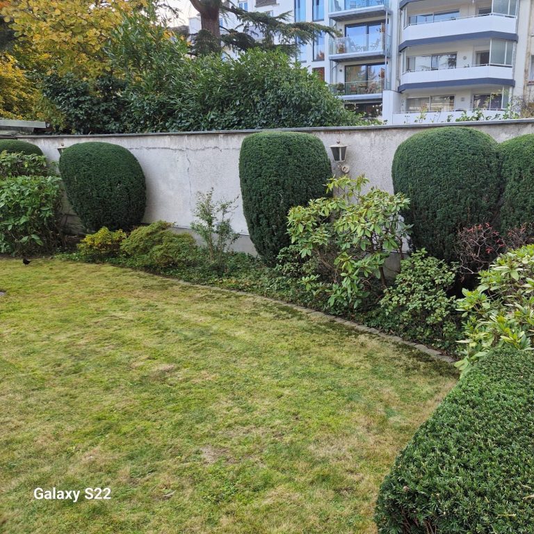 Grünflächenpflege für Immobilienverwaltungen Kaiserswerth Grünflächenpflege und Formschnitt-Reihe für Immobilienverwaltungen in Kaiserswerth