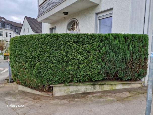 GaLaBau Langenfeld – Hecke am Wohnhaus GaLaBau und Heckenpflege in Langenfeld – formschöne Hecke vor einem Mehrfamilienhaus